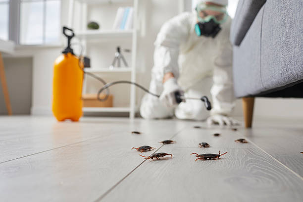 Commercial Kitchen Cockroach Control in Emory